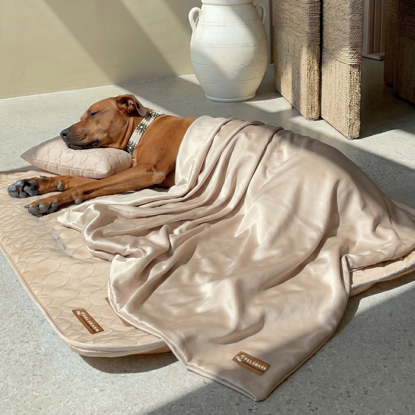 🐾💤Ge din bästa vän en sval oas i sommarvärmen – Automatisk kylmatta!