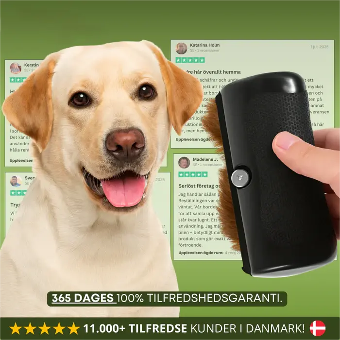 🧹🐾 Sig farvel til hundehår – Effektiv hundebørste (Køb 1, få 1 gratis)