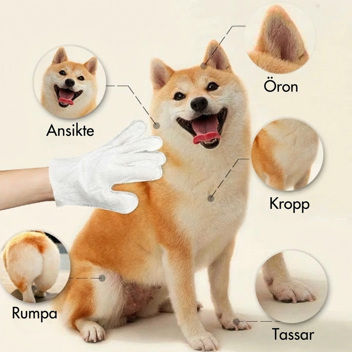 🐕20-pack luktabsorberande rengöringsvantar för husdjur😻