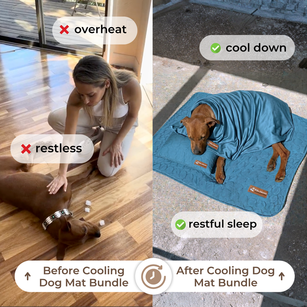 🐾💤Ge din bästa vän en sval oas i sommarvärmen – Automatisk kylmatta!
