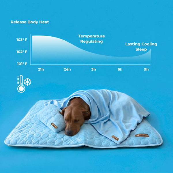 🐾💤Ge din bästa vän en sval oas i sommarvärmen – Automatisk kylmatta!