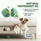 🔥Pebermynte Kanelolie museafvisende middel til egern, rotter, edderkopper, mus til indendørs og udendørs brug