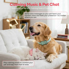 PetPhone til hunde og katte – 2-vejs PetChat, global GPS-tracker med geofence-alarmer, realtidssporing, sundhedsovervågning, kæledyrsfinder, IP67 vandtæt, op til 5 dages batterilevetid