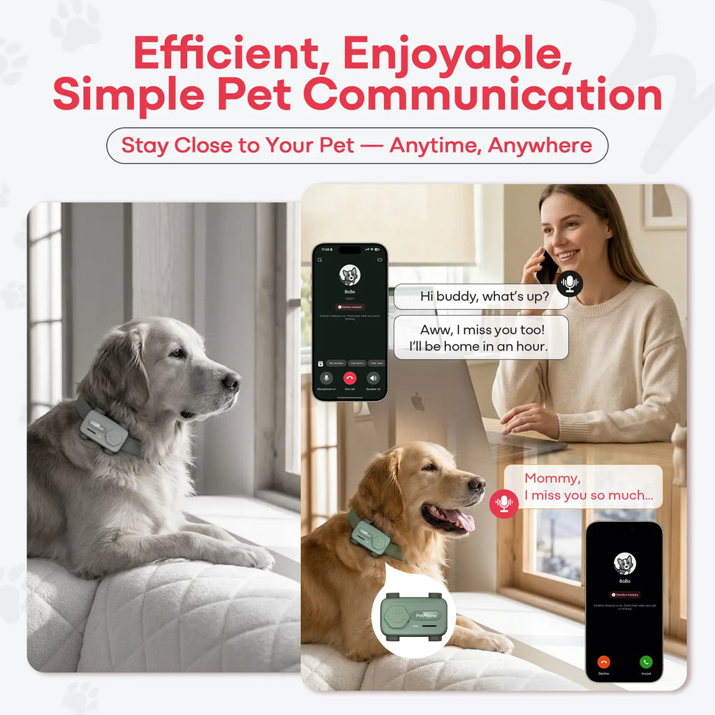 PetPhone til hunde og katte – 2-vejs PetChat, global GPS-tracker med geofence-alarmer, realtidssporing, sundhedsovervågning, kæledyrsfinder, IP67 vandtæt, op til 5 dages batterilevetid